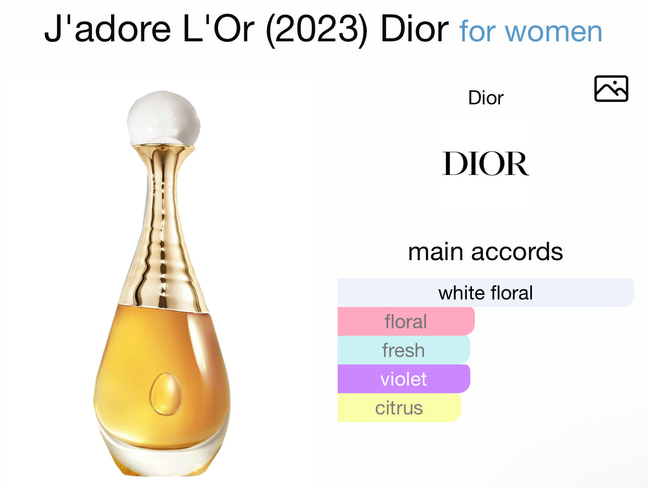 J’adore Gift Set 1 Mini and 3 Sampler